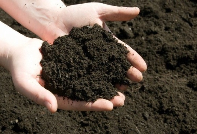 Potting Soil and Compost