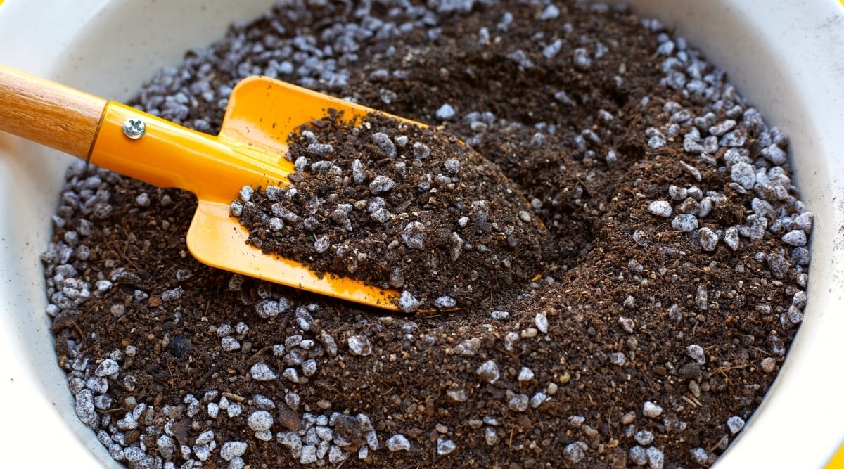 Overhead view of soil mix with cactus fertilizer, presented in a white bowl with a vivid yellow hand trowel. The soil appears light and loose, infused with granular gray-white fertilizers.