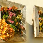 colorful-succulents-arranged-in-a-vertical-garden-box