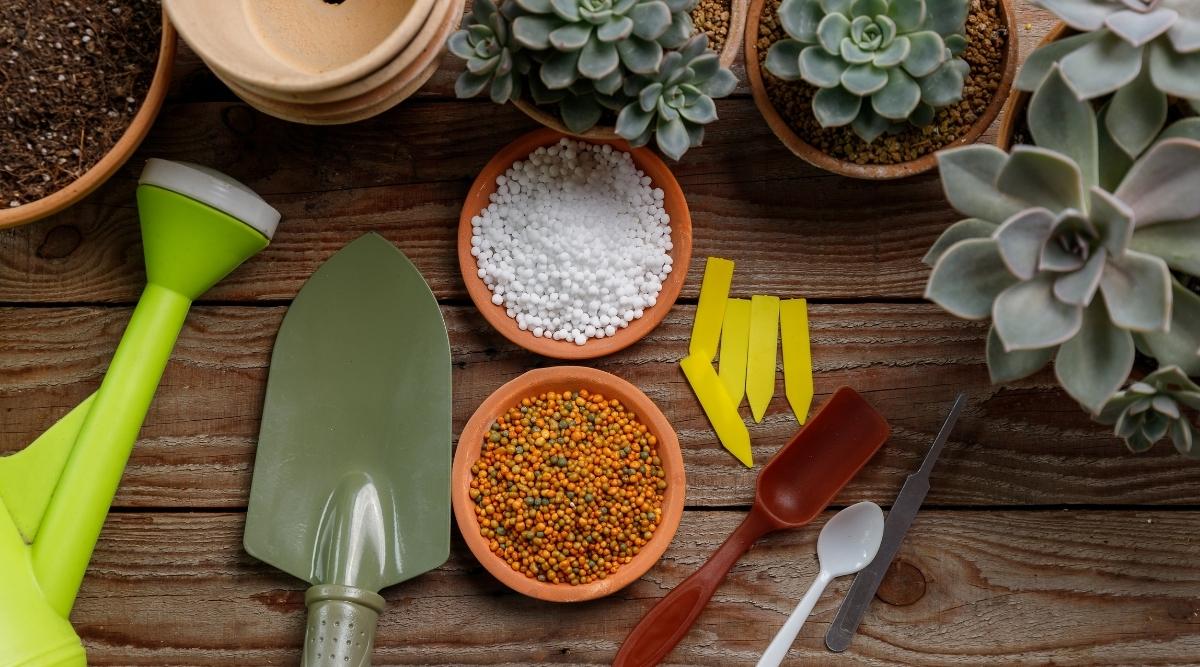 Succulents, fertilizer, pots, and other garden tools on the wood table