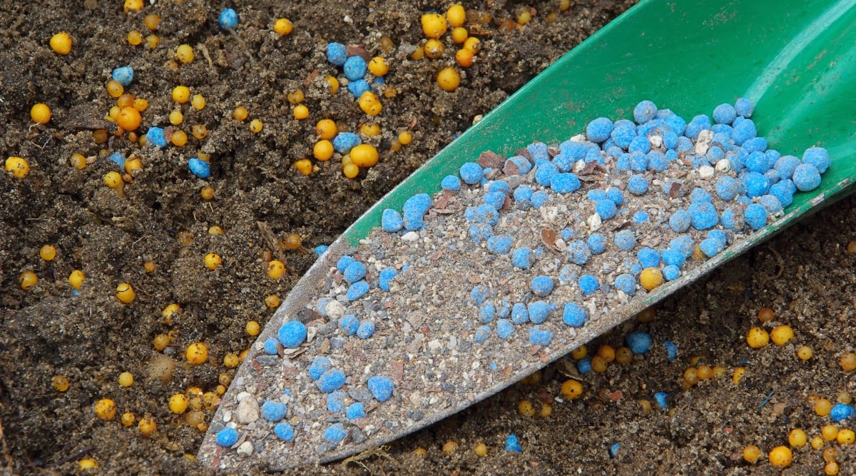 Fertilizers in Soil are orange and blue, soaking up nutrients.