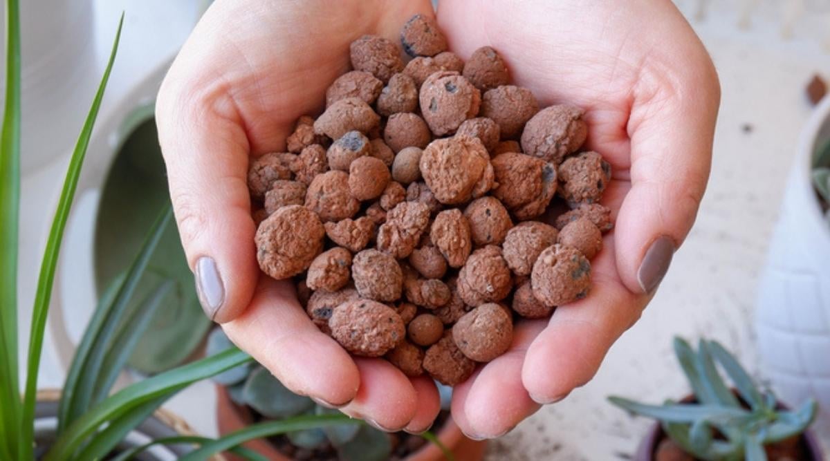 Person Holding Lightweight Expanded Clay Aggregate