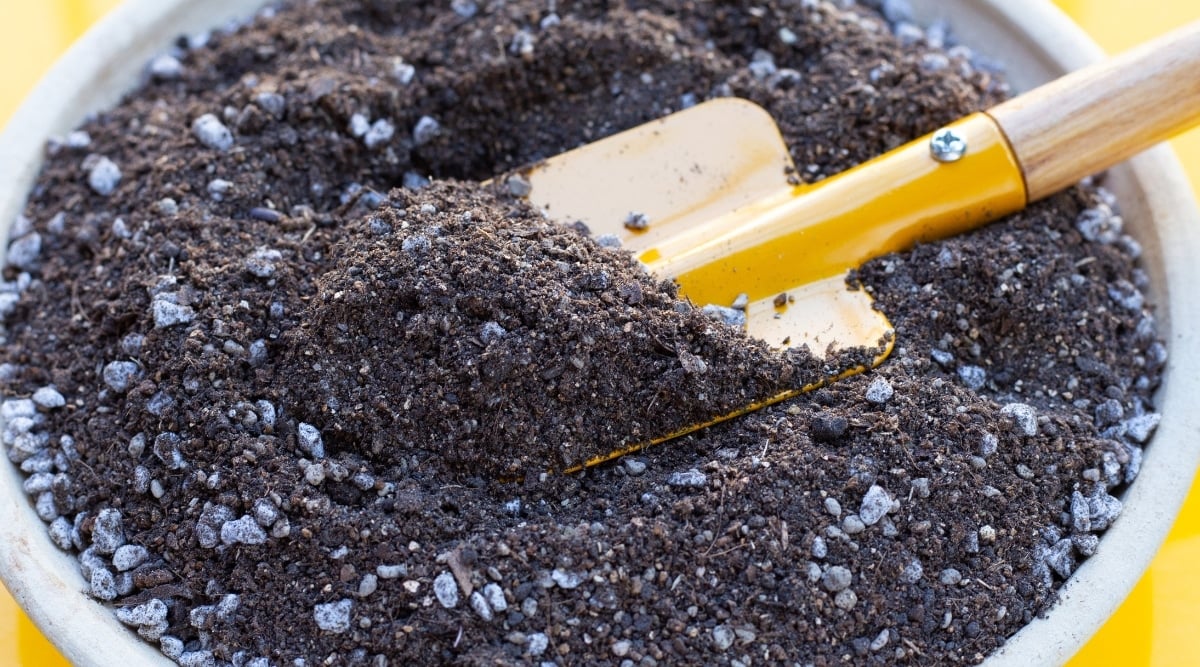 A white bowl holds a mixture of dark soil and white perlite. The contrasting colors highlight the composition, while a mini orange shovel rests on top, ready for gardening adventures, adding a touch of charm to the scene.