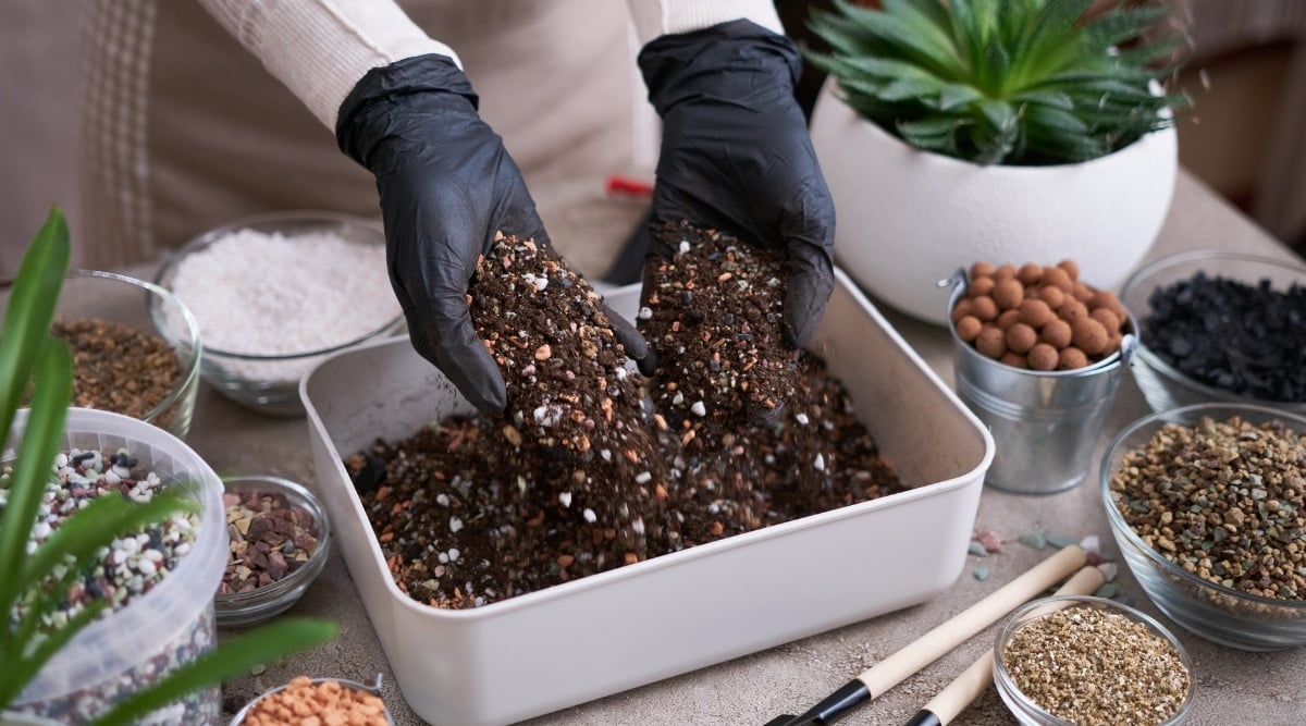 A pair of gloved hands carefully pours rich, dark soil into a pan, preparing it for a gardening project. Surrounding the pan, a variety of soil and substrates await their turn in the garden.