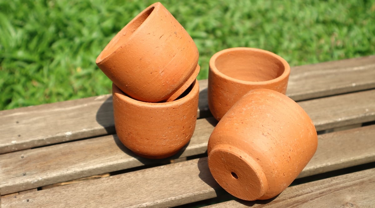 Close-up of four terracotta pots on a wooden bench in the garden, against the backdrop of green grass. The pots are small, round, smooth, orange in color, with a drainage hole at the bottom.